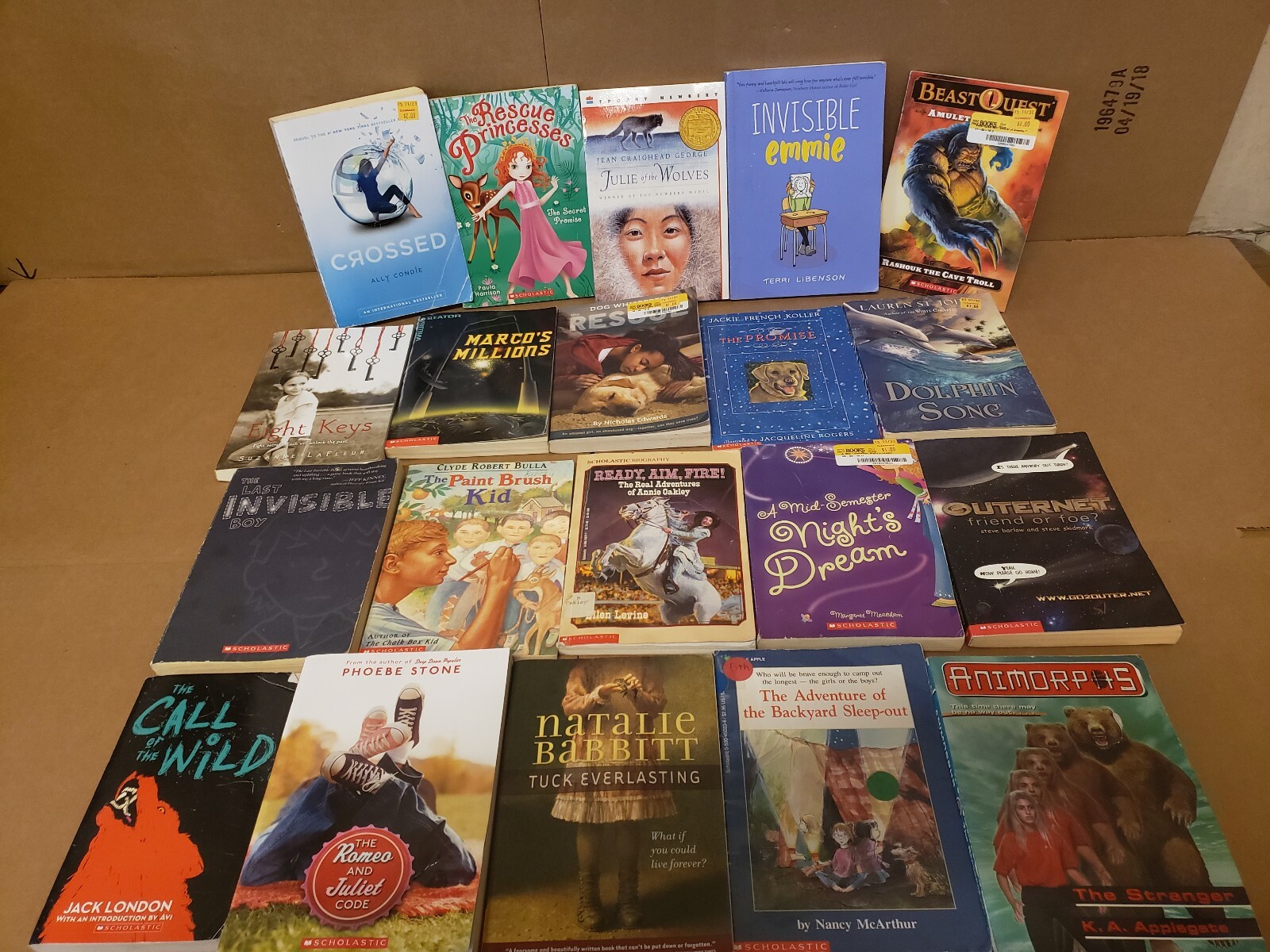 Lot of 100 Chapter INSTANT LIBRARY Children RANDOM~MYSTERY BOX~UNSORTED BOOK MIX