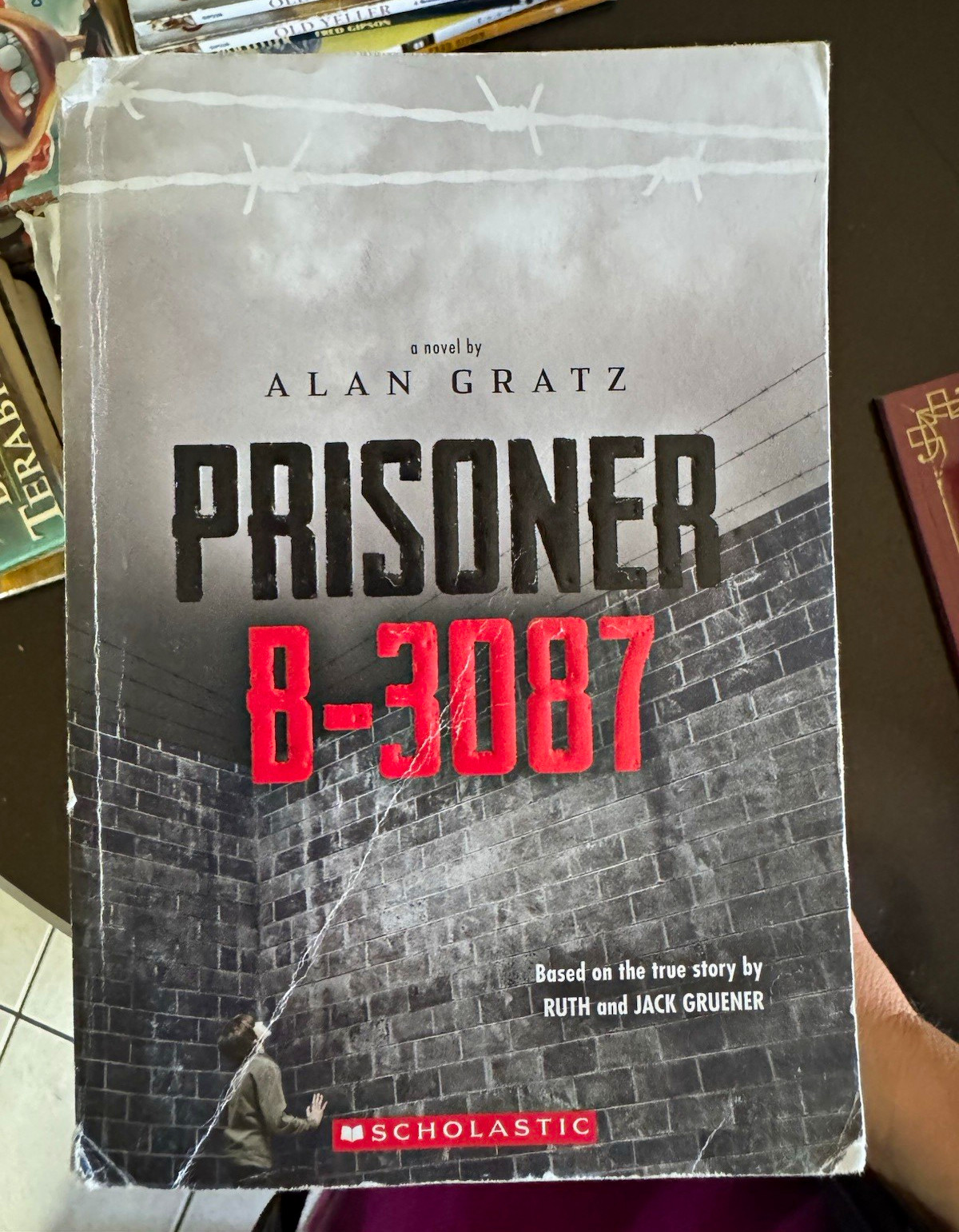 Lot of 15 – Scholastic Press Prisoner B-3087 by Alan Gratz PB YA Fiction