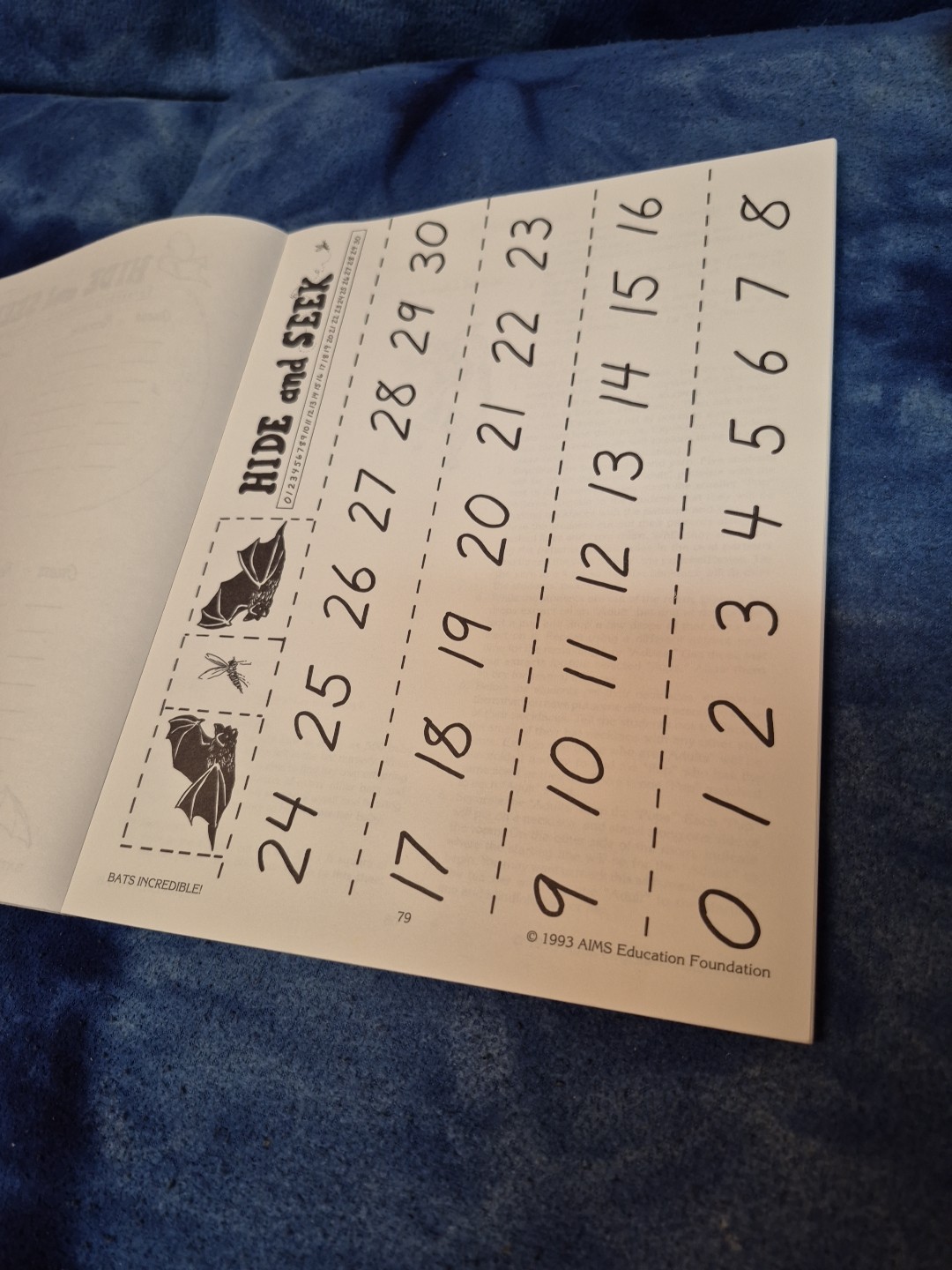 Bats Incredible! AIMS Activities Grades 2-4 Teacher Education Science Textbook
