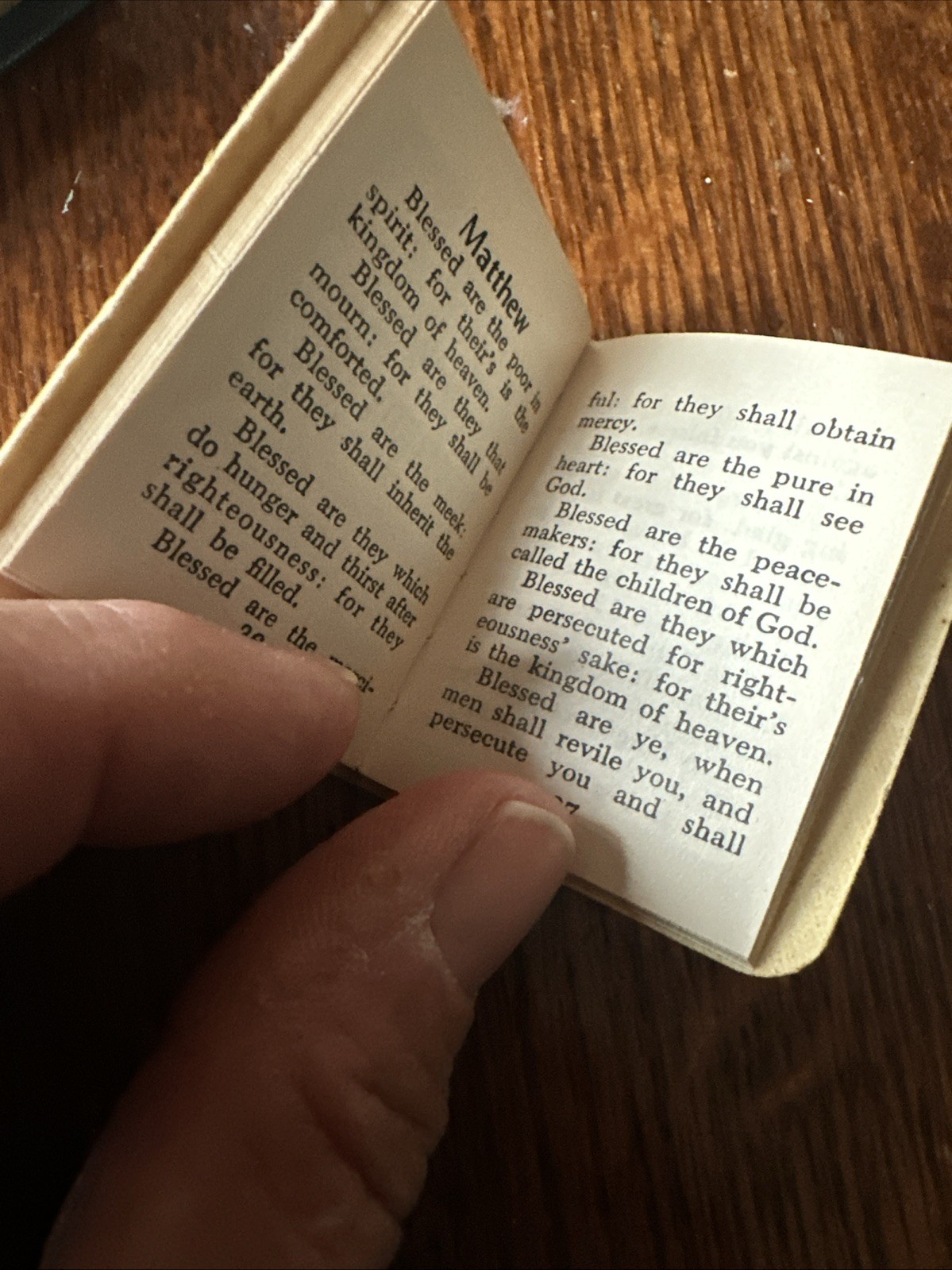 Antique Mini Books Daily Food For Christians, The Little Bible, Christmas Storie