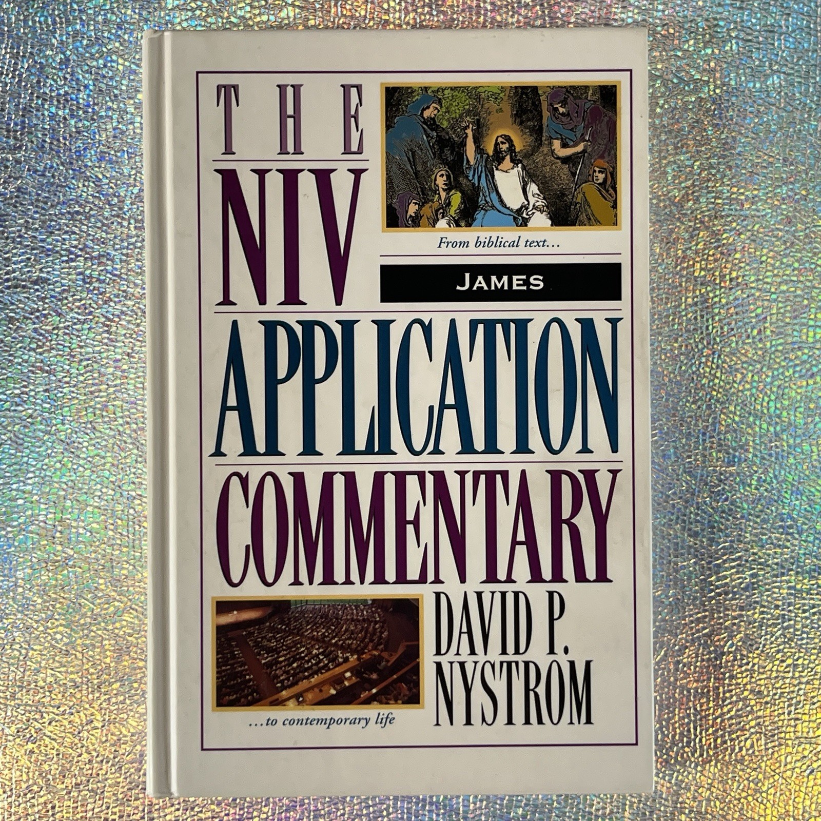 Niv Application Commentary James by David P. Nystrom (1997, Hardcover)