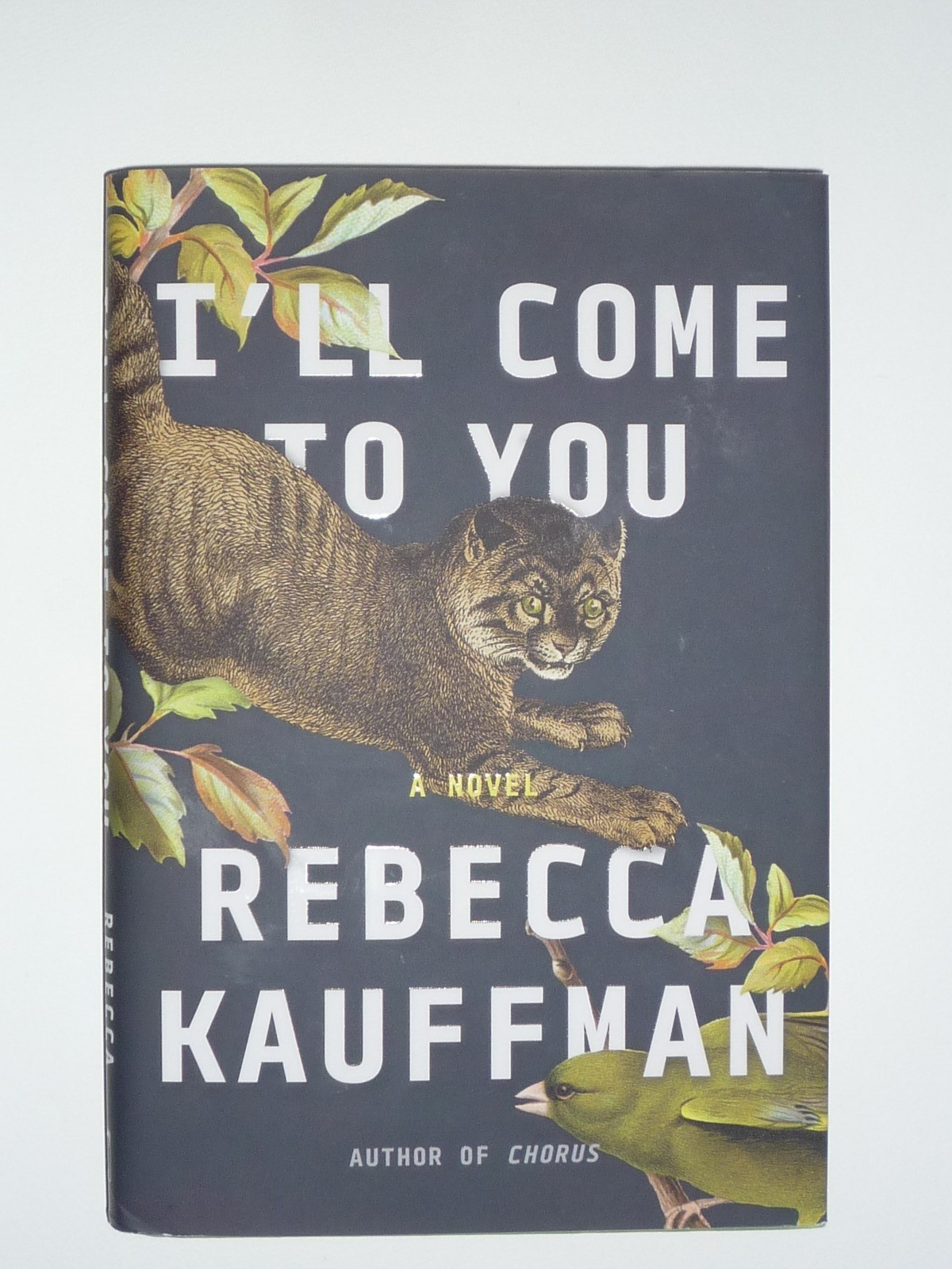 I’ll COME TO YOU a novel by Kauffman, Rebecca (Brand-New, 2024, Hardcover) $6.95