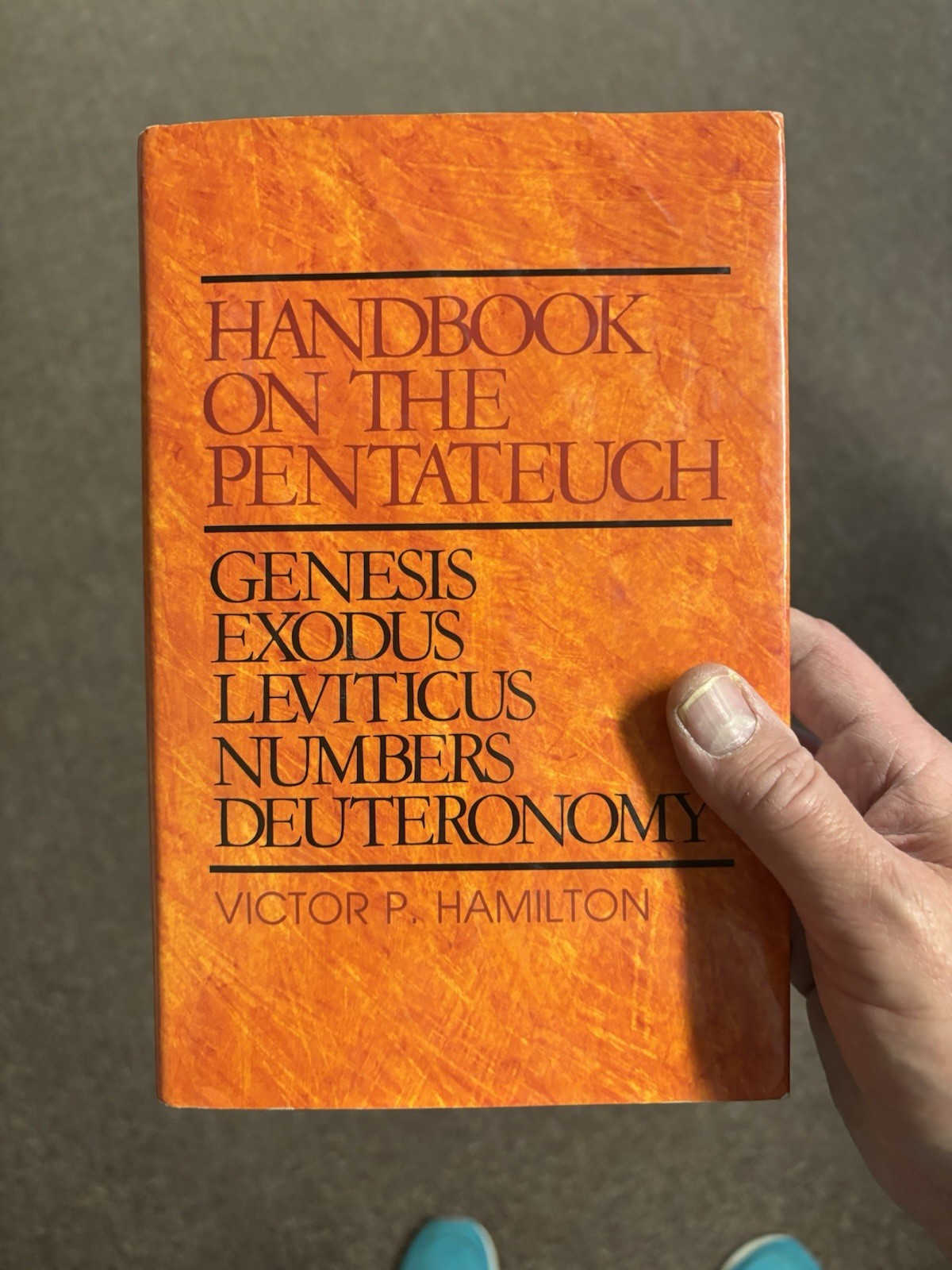 Handbook on the Pentateuch by Victor P. Hamilton 1982 Hardcover Vintage