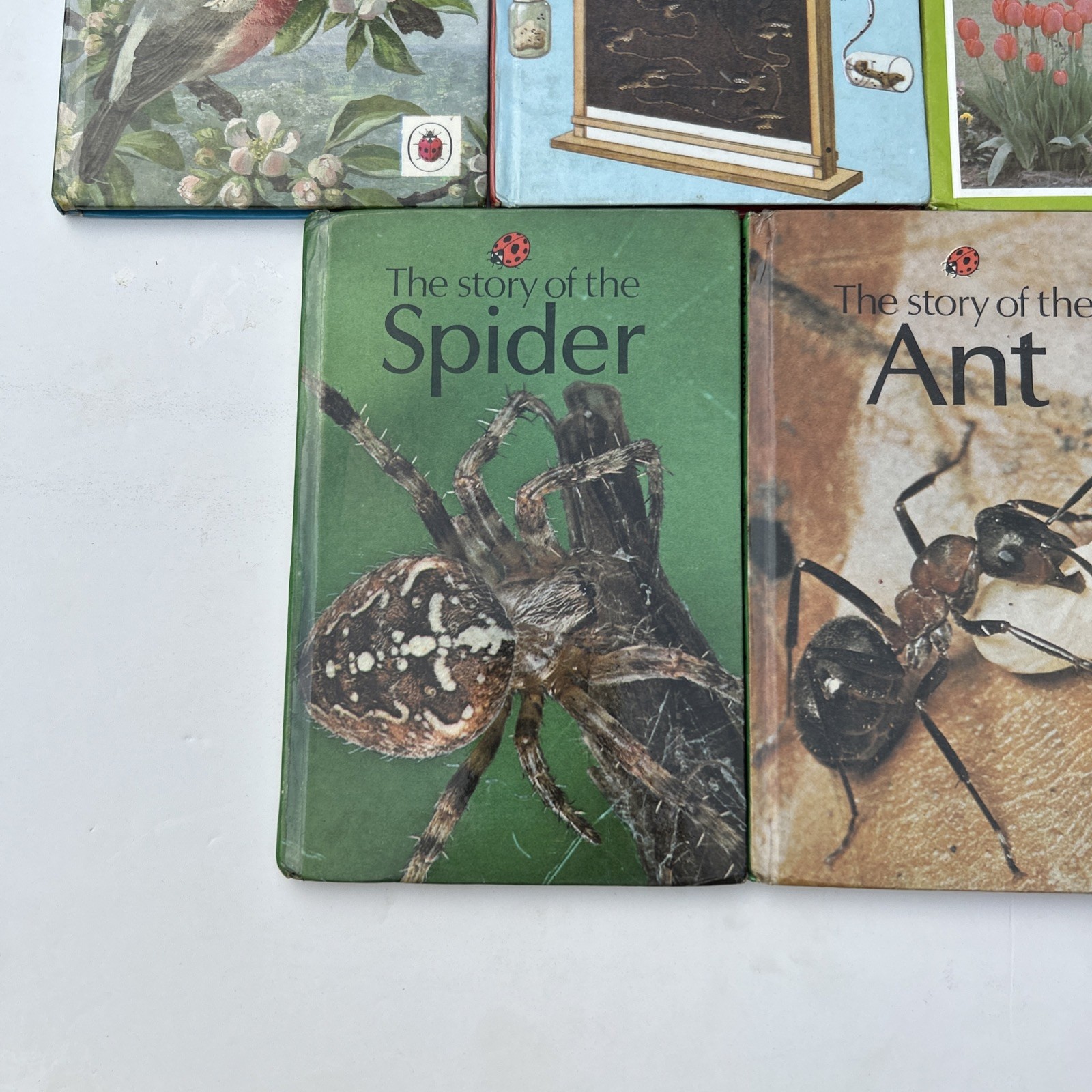 Job Lot 5 Rare Ladybird Children’s Books Natural History Theme 1980s Collectable