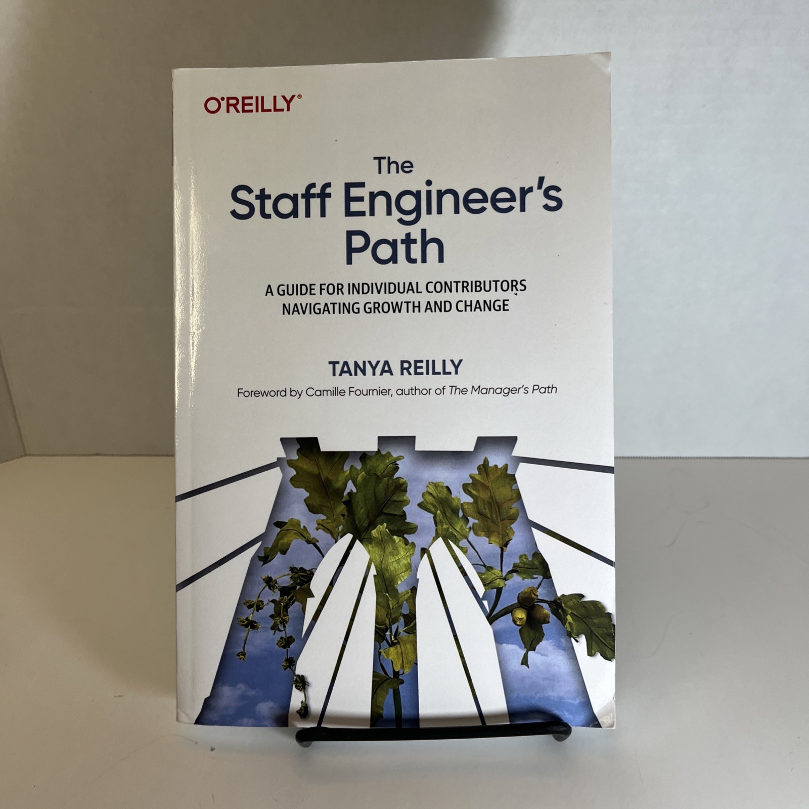 Staff Engineer’s Path : A Guide for Individual Contributors Navigating Growth…