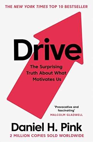 Drive: The Surprising Truth – Paperback, by Daniel Coyle; Daniel – Very Good c