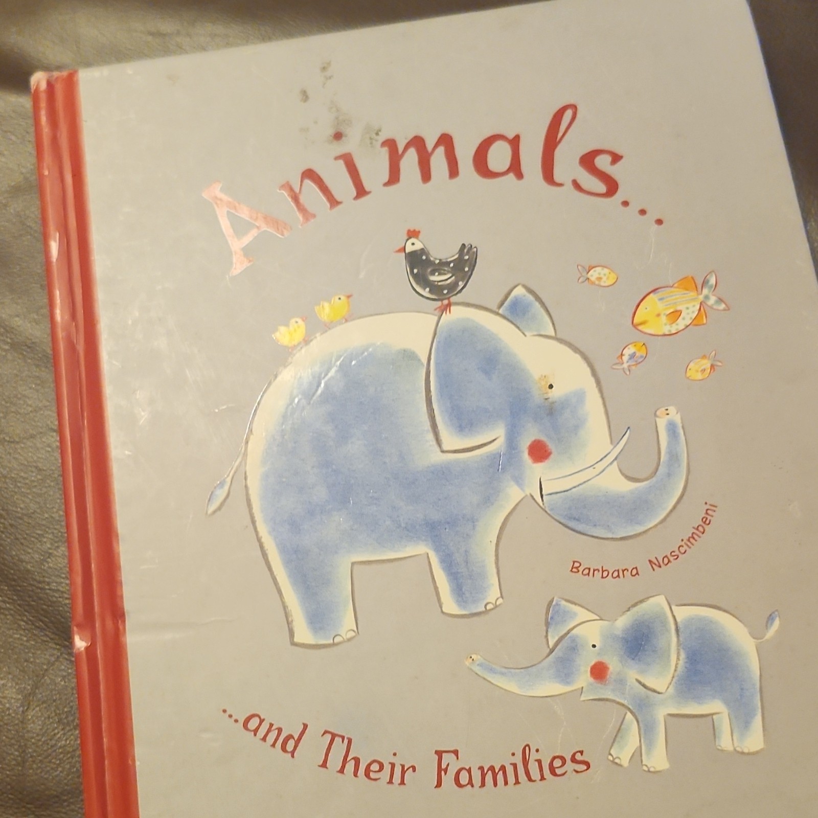Owlkids Animals and Their Families Hardcover Barbara Nascimbeni Nonfiction Anim…