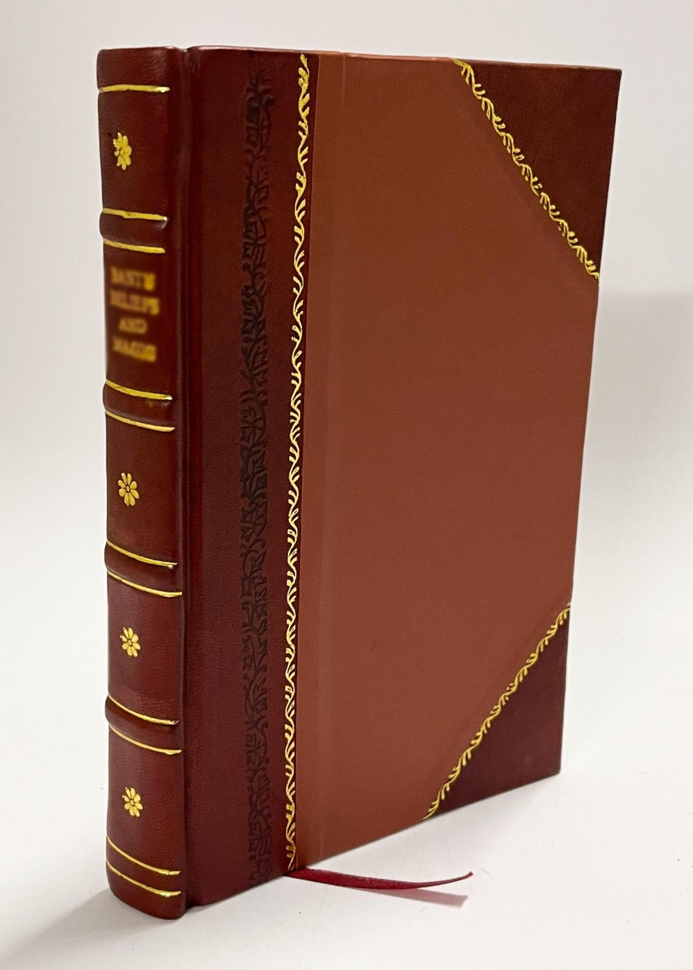 Physical Education in the Primary School by Zimbabwe. Ministry [Leather Bound]