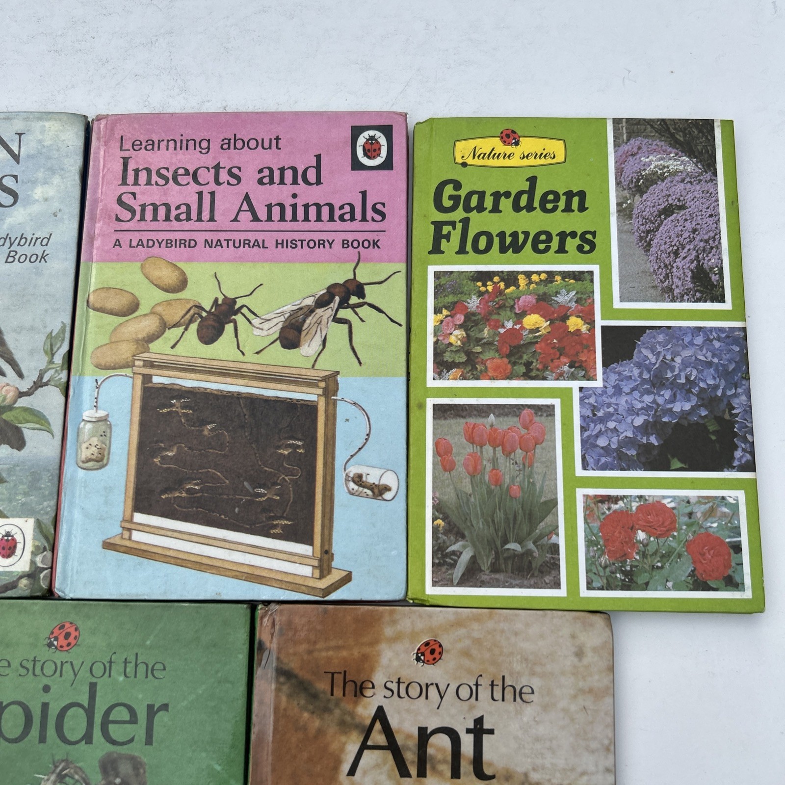 Job Lot 5 Rare Ladybird Children’s Books Natural History Theme 1980s Collectable