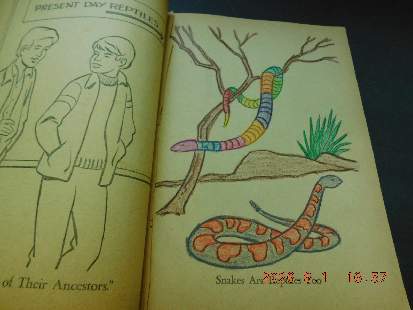 1974 Whitman Publishing “Dinosaurs: Color Book” children’s coloring book