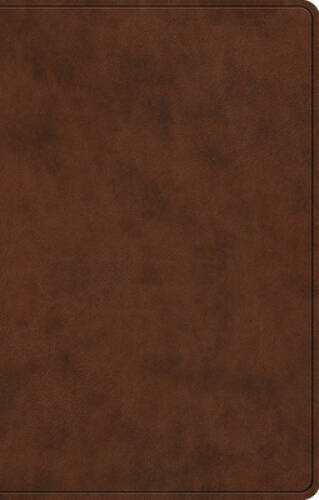ESV Premium Gift Bible (Trutone, Brown) – Imitation Leather – GOOD