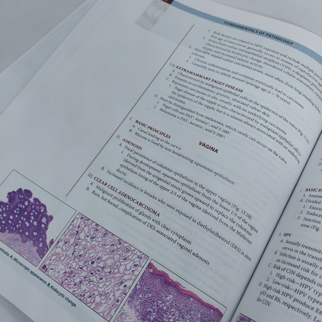 Pathoma 2024, by Husain A Sattar, Medical course&USMLE Step1 Review CDVideos.
