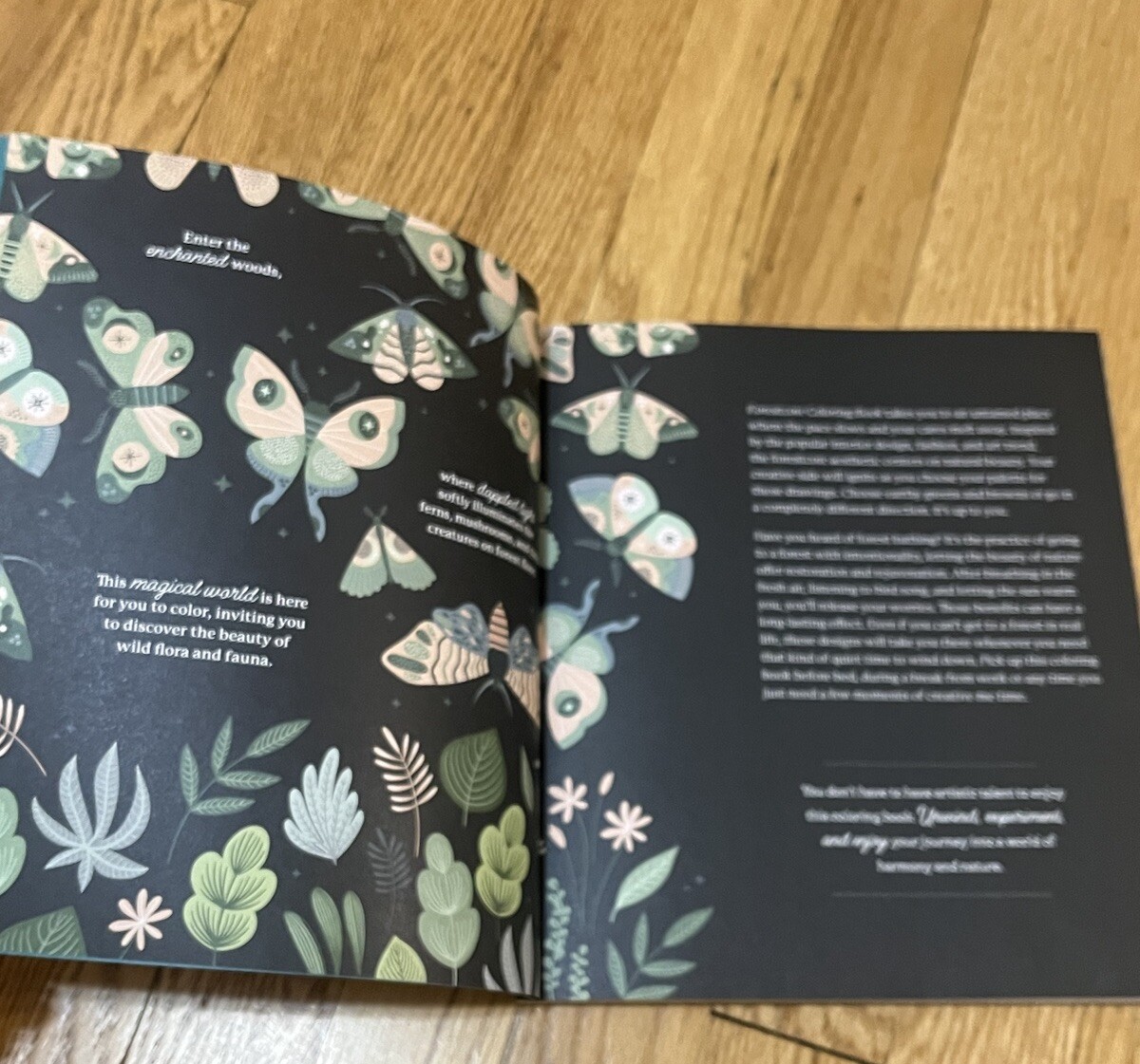 Forestcore Coloring Book 128 Pages Forest to Life Deer Mushrooms Butterflies Art