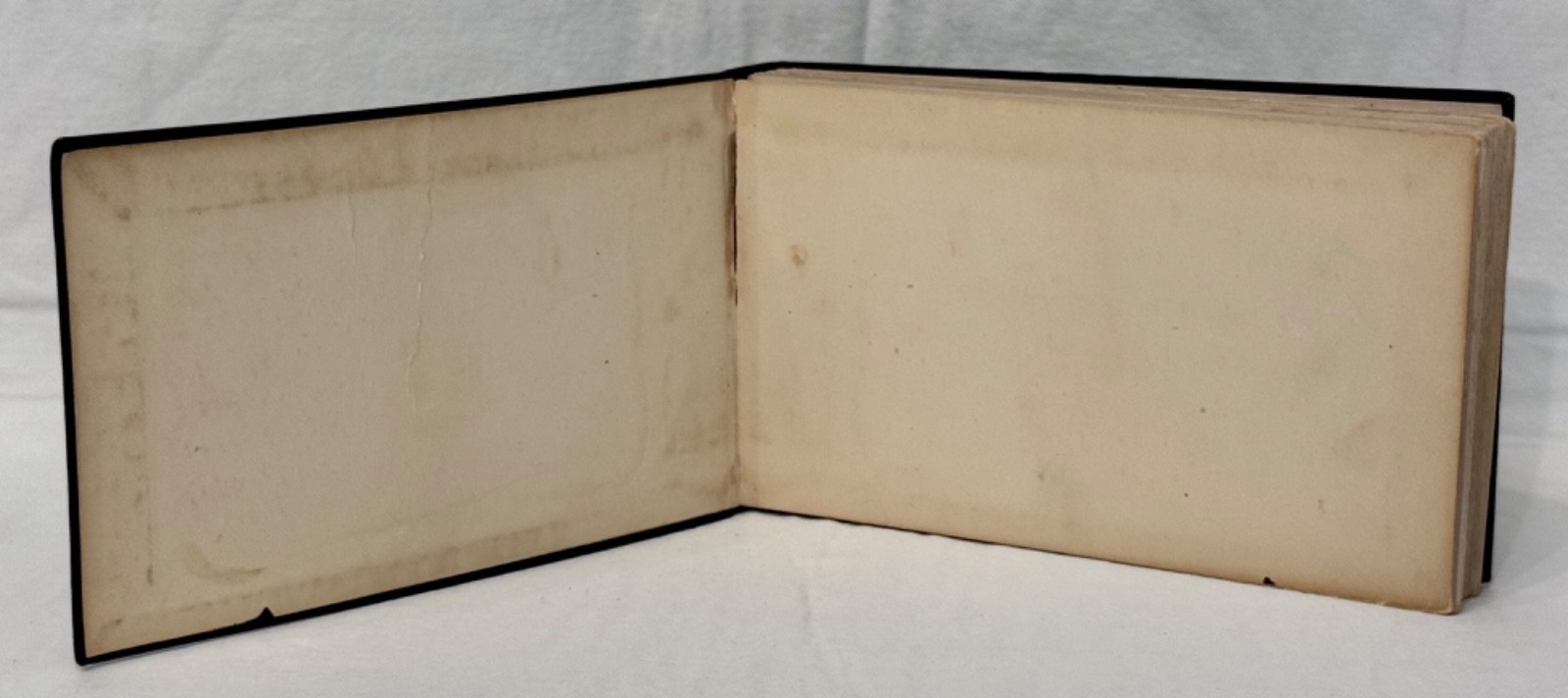 Antique 1922 The Western Flower Guide Soft Cover Charles Francis Saunders