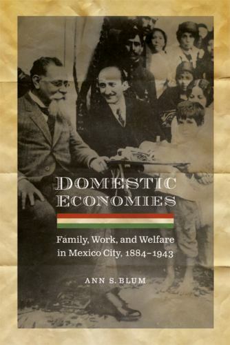 Domestic Economies: Family, Work, and Welfare in Mexico City, 1884-1943 (Eng…