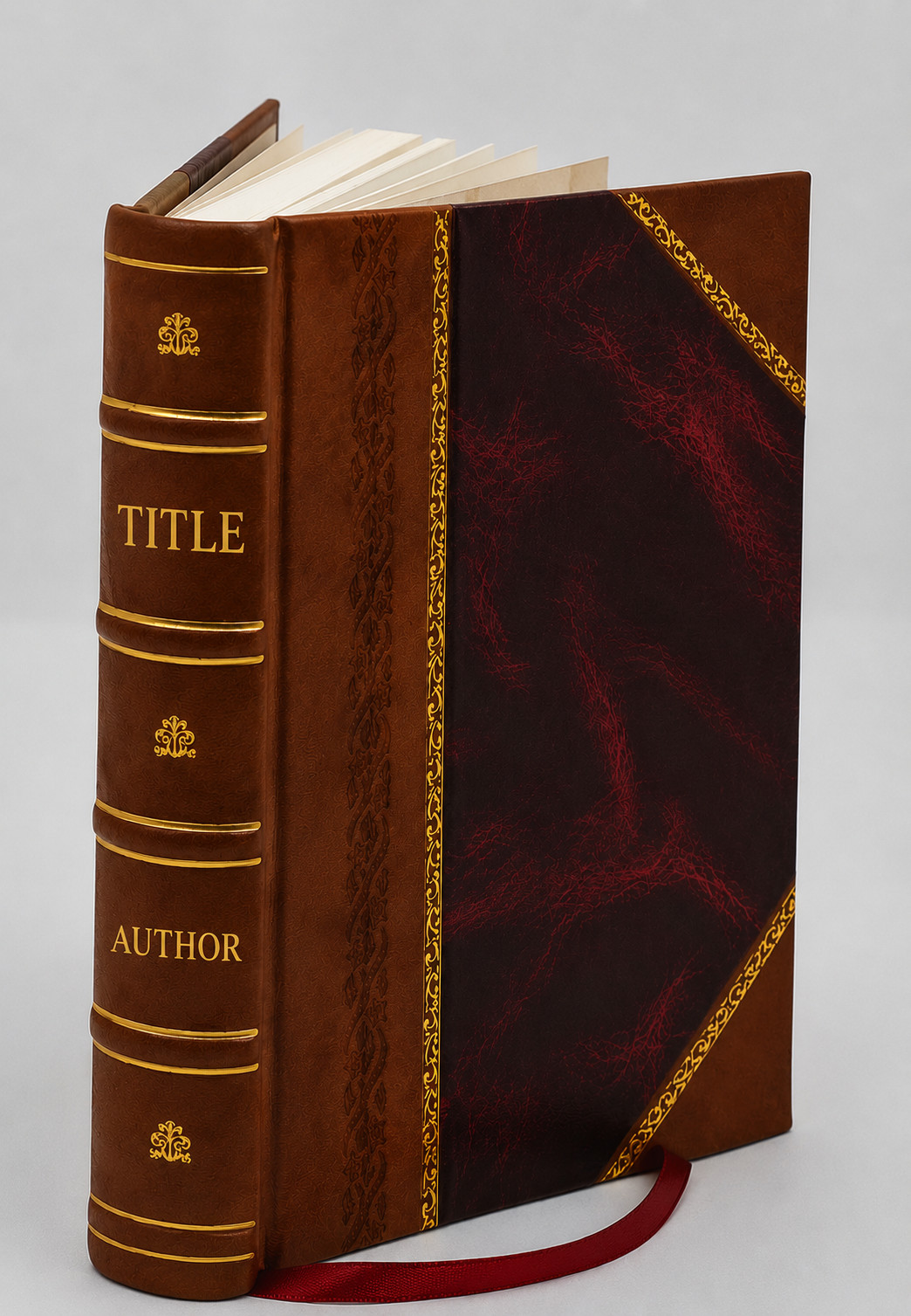 The history and antiquities of the diocese of Ossory T V. 4 1905 [Leather Bound]
