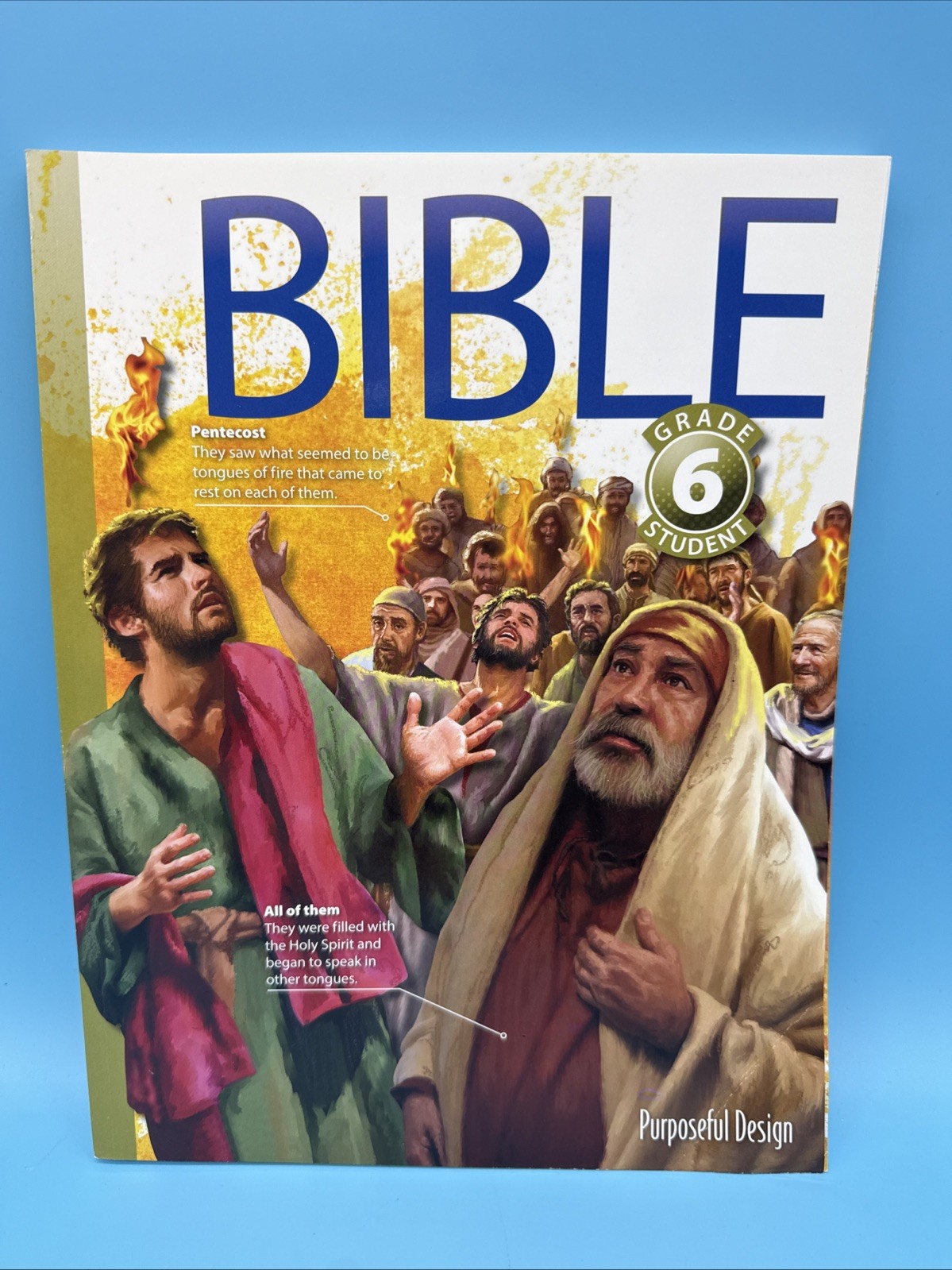Purposeful Design Bible Grade 6 Student Textbook (3rd Edition) 6th Grade LikeNEW