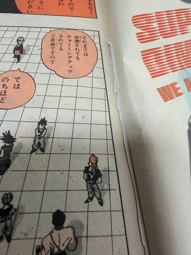 Weekly Shonen Jump 1995 No.25 Dragon Ball Final Chapter Issue Akira Toriyama