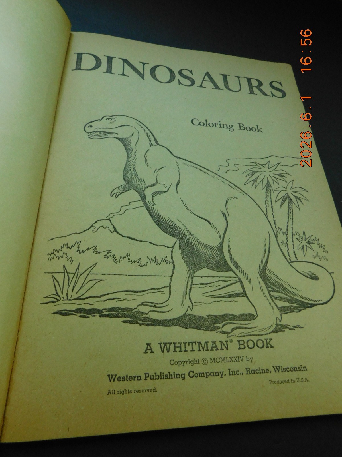 1974 Whitman Publishing “Dinosaurs: Color Book” children’s coloring book