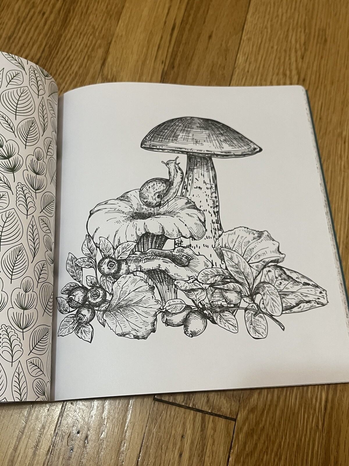 Forestcore Coloring Book 128 Pages Forest to Life Deer Mushrooms Butterflies Art