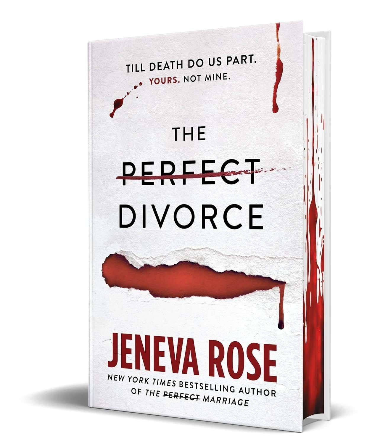 The Perfect Divorce Paperback s959