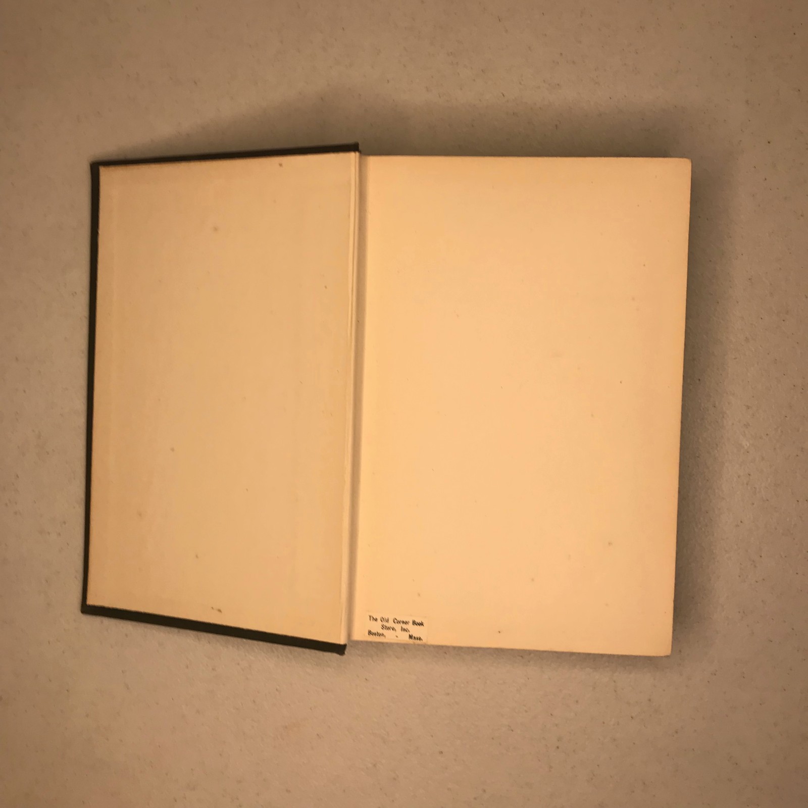 This Freedom by A.S.M. Hutchinson 1st Printing – Corner Book Store Boston Plate