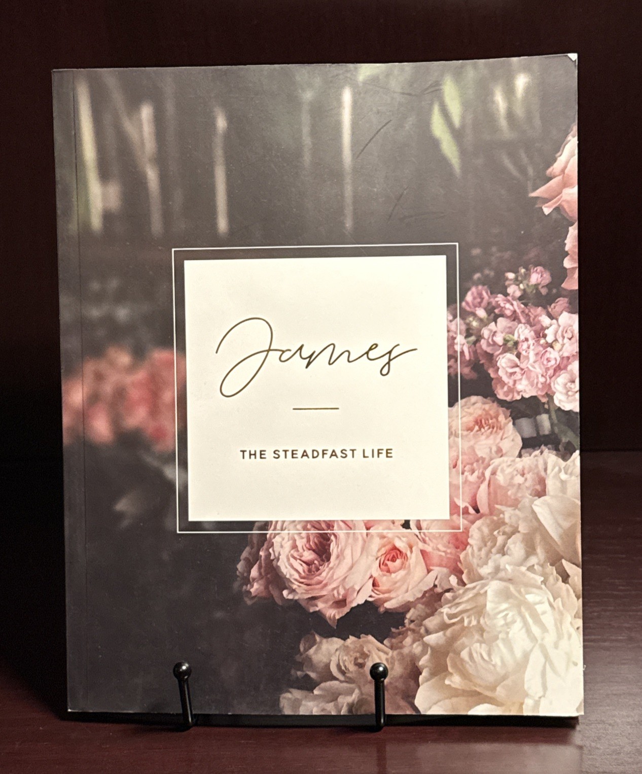 The Daily Grace Company – James – The Steadfast Life Kristn Schmucker