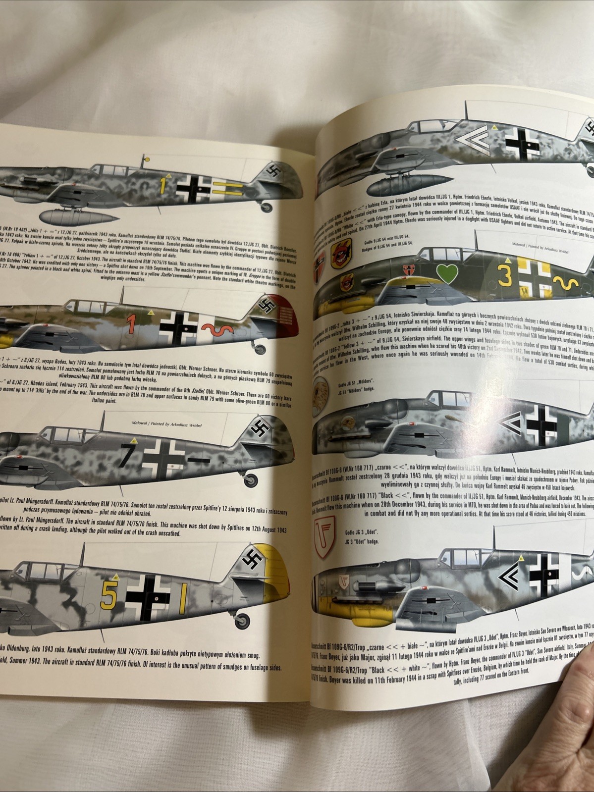 Messerschmitt Bf 109 G/K Vol II. Krzysztof Janowicz, Polish/English, with mask