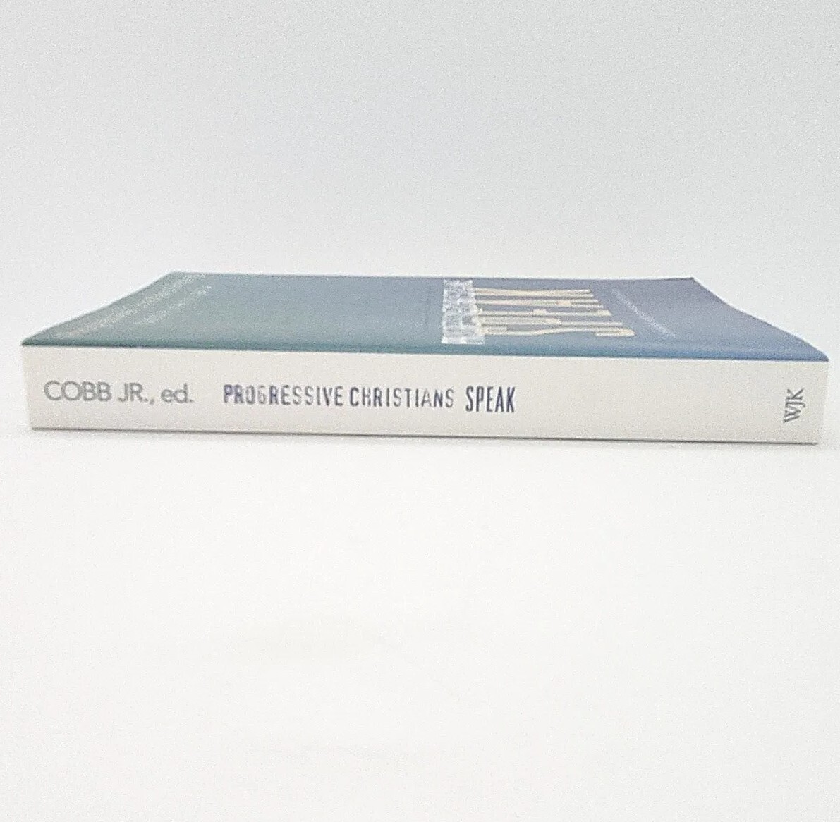 Progressive Christians Speak Edited By John B. Cobb Jr. Paperback 2003 Book