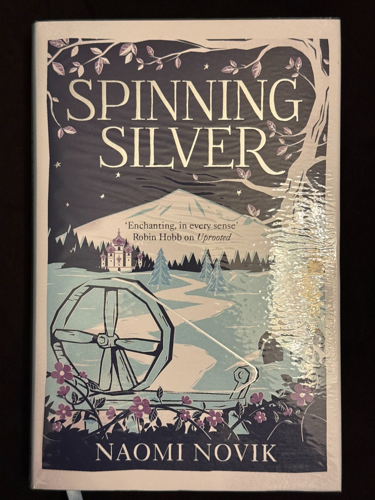 Naomi Novik Spinning Silver & Uprooted 2-Book Box Set Slipcase
