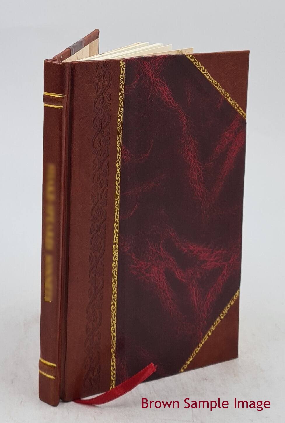 Notes On Jaipur 1916 By H. L Showers [Leather Bound]