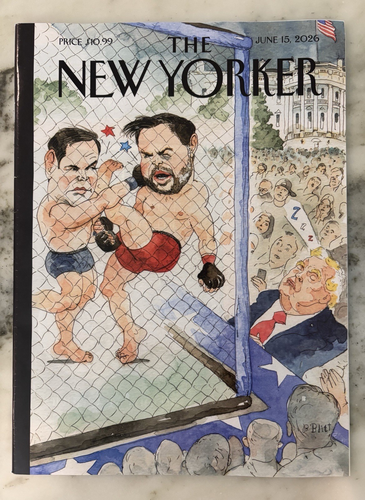 The New Yorker Magazine June 15, 2026 Barry Blitt “Out Cold” on cover ~ New copy
