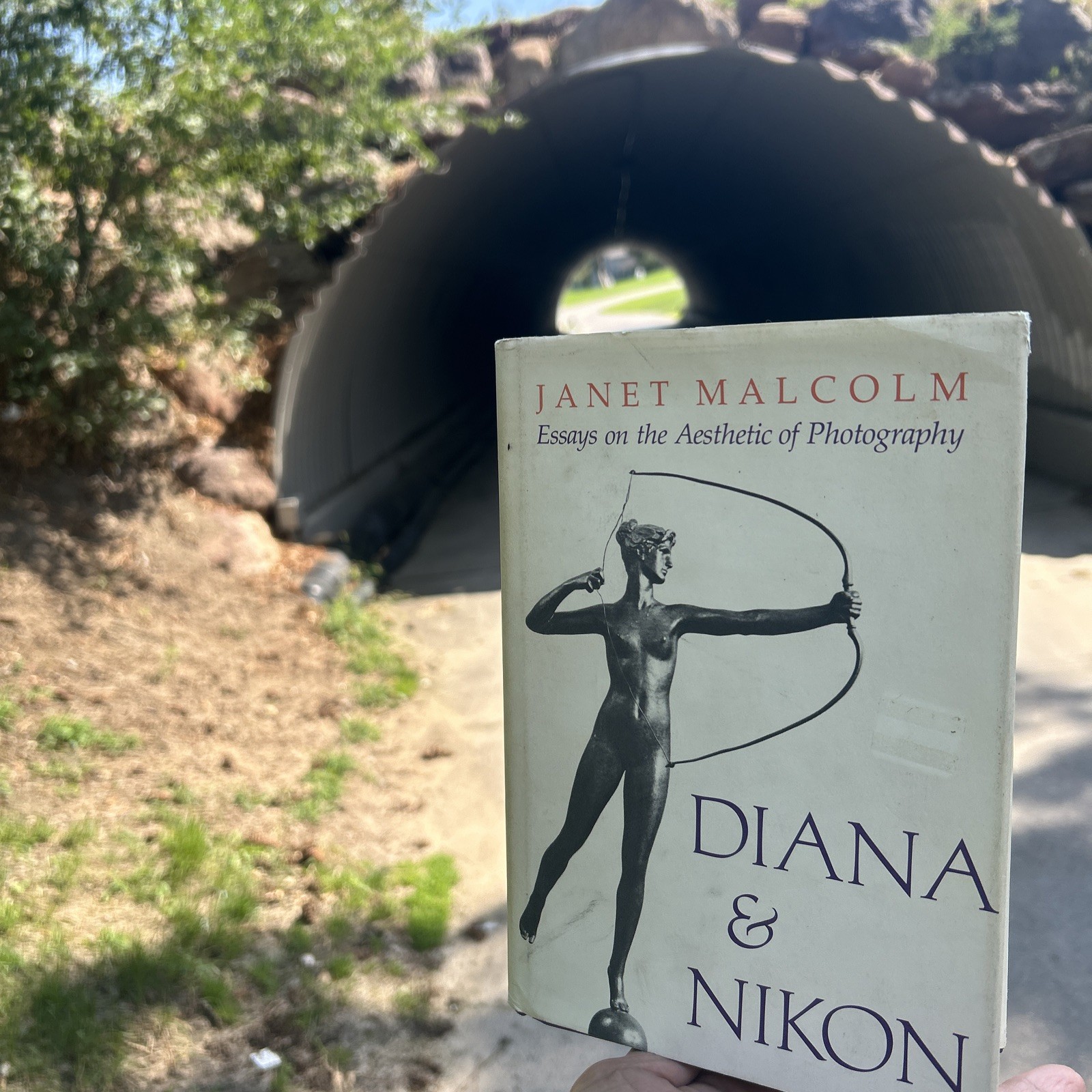 DIANA AND NIKON By Janet Malcolm