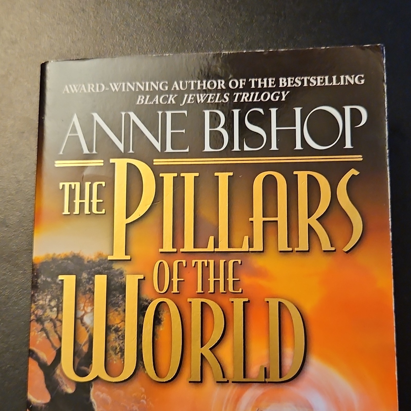 Anne Bishop The Pillars of the World Paperback Fantasy Fiction Novel English
