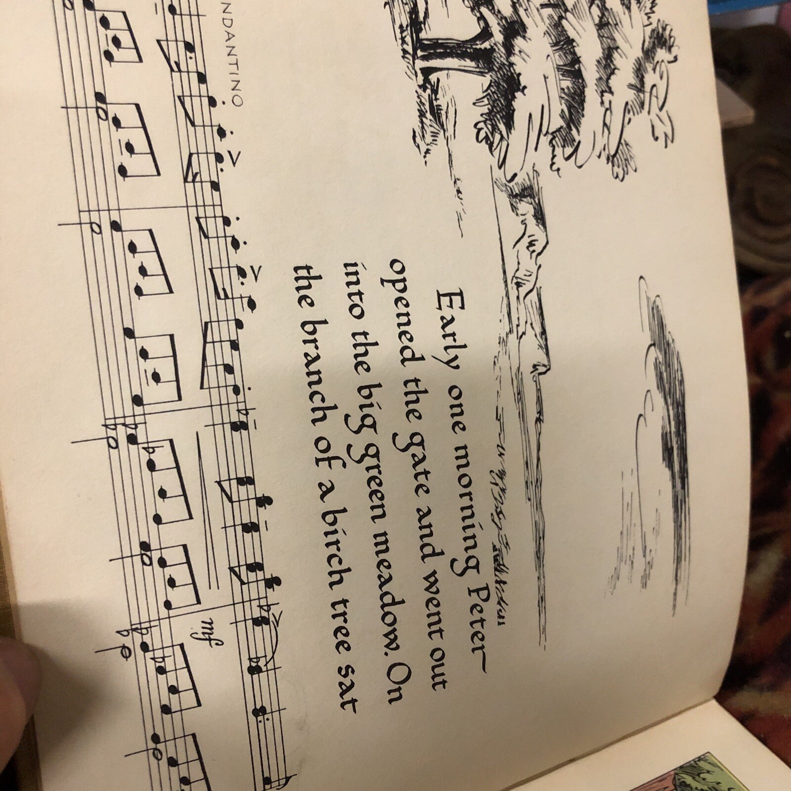 Peter And The Wolf Serge Prokofieff First Edition Hardcover