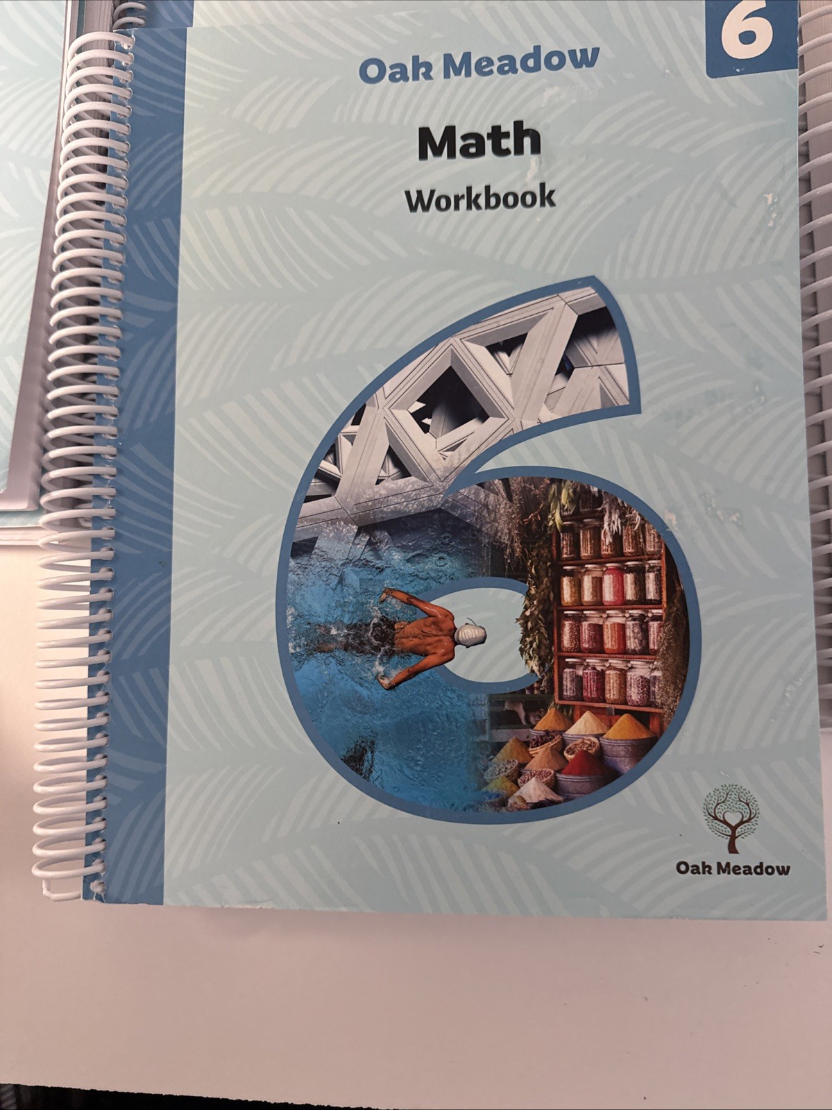 Oak Meadow Grade 6, Coursebooks & Teacher Manuals (2019)