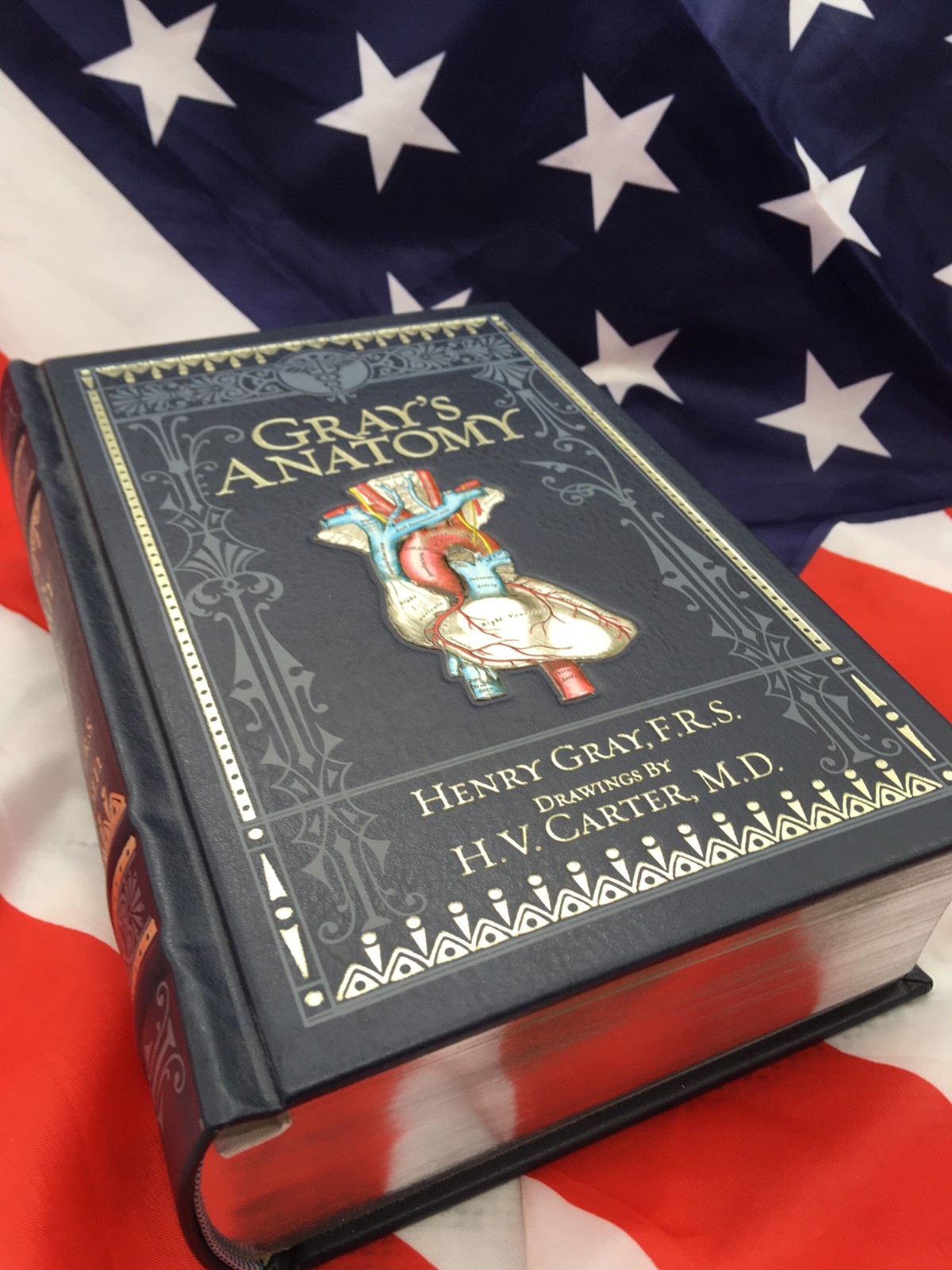 GRAY’S ANATOMY Henry Gray Deluxe Illustrated Collectible Bonded Leather Book
