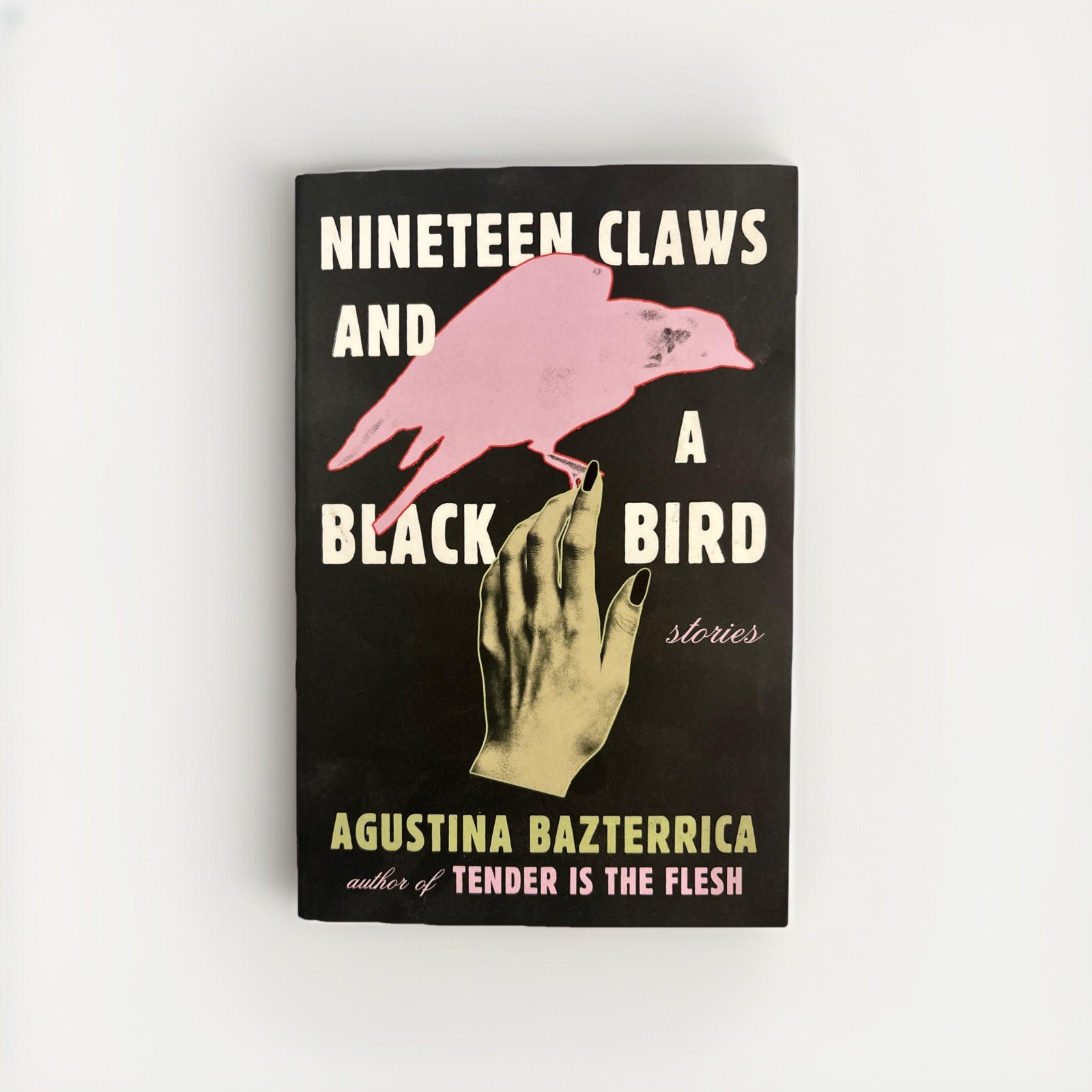 Nineteen Claws and a Black Bird : Stories by Agustina Bazterrica (2023, Trade…