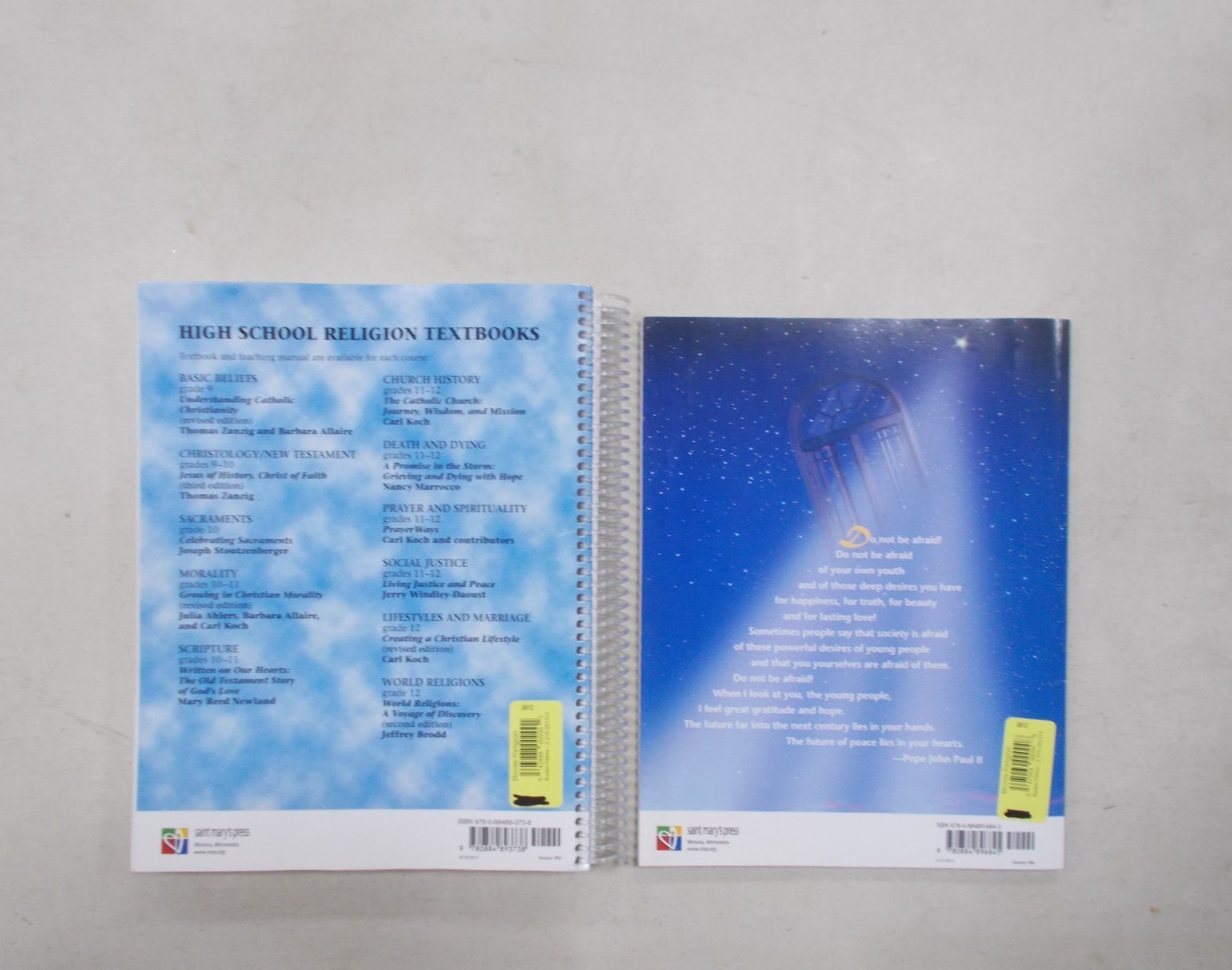2 UNDERSTANDING CATHOLIC CHRISTIANITY TEACHING MANUAL AND WORKBOOK TRADE PB