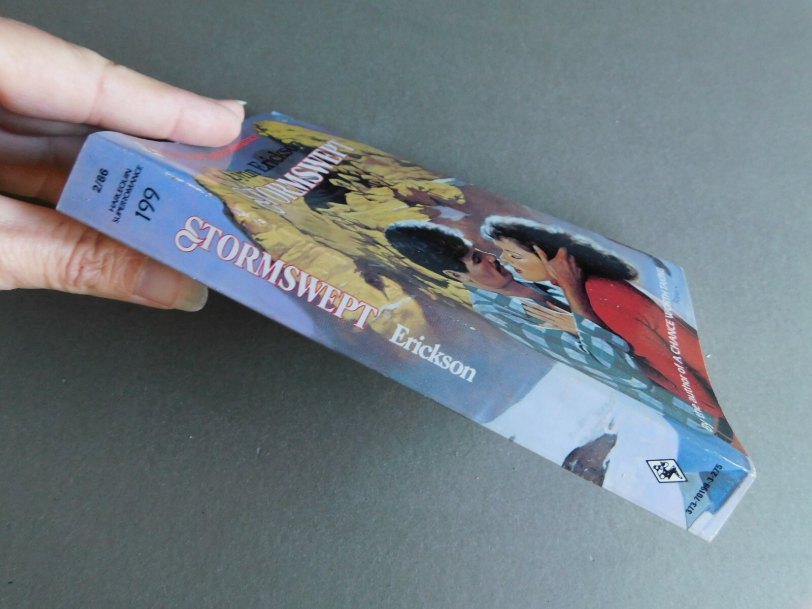 Stormswept – Lynn Erickson – 1985 Harlequin SuperRomance 199 Snowy plane rescue