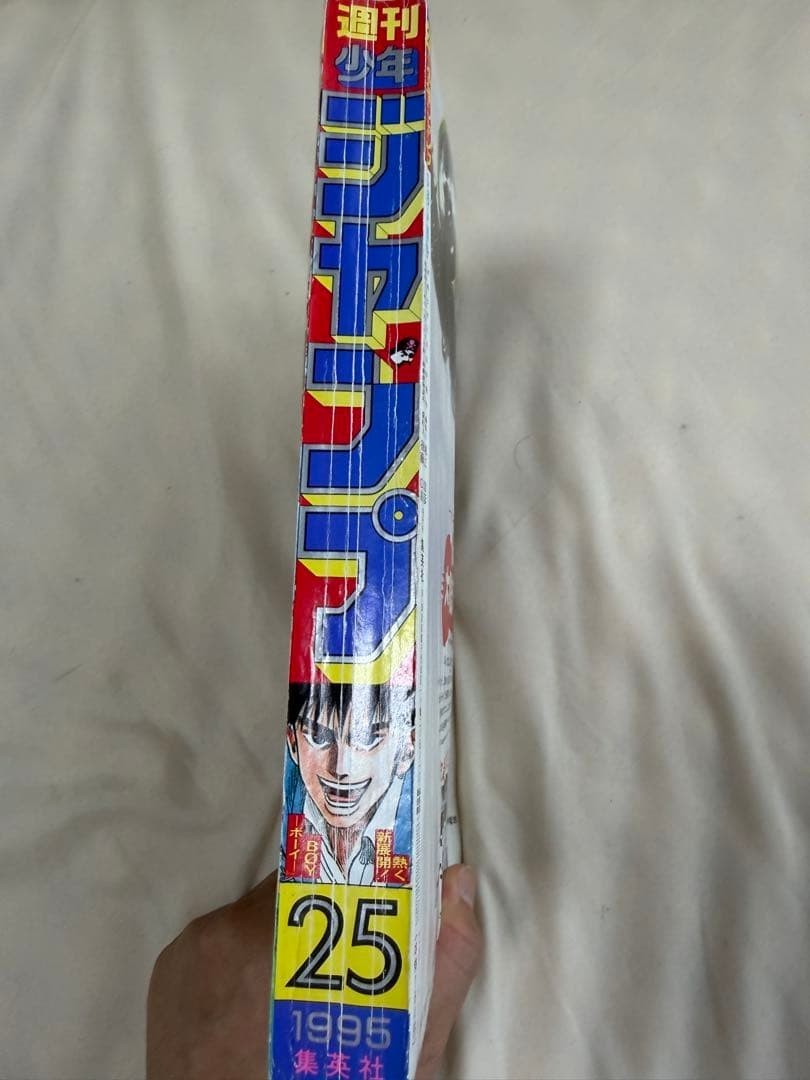 Weekly Shonen Jump 1995 No.25 Dragon Ball Final Chapter Issue Akira Toriyama