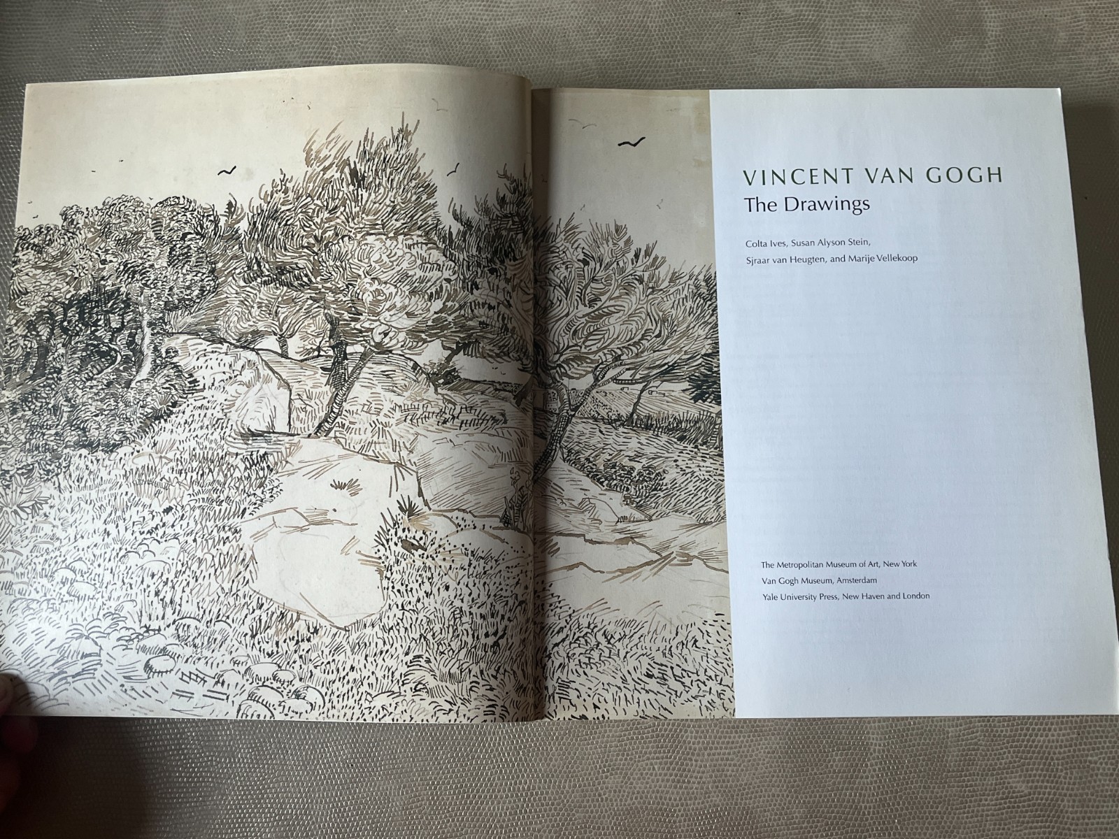 Vincent Van Gogh: The Drawings Metropolitan Museum of Art Series 9780300107203
